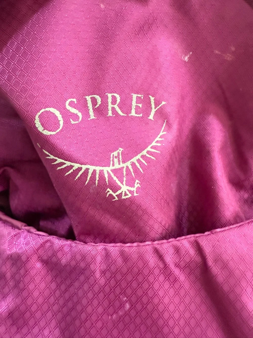 OSPREY Daylite Plus Backpack - Magenta and Light Gray Accents